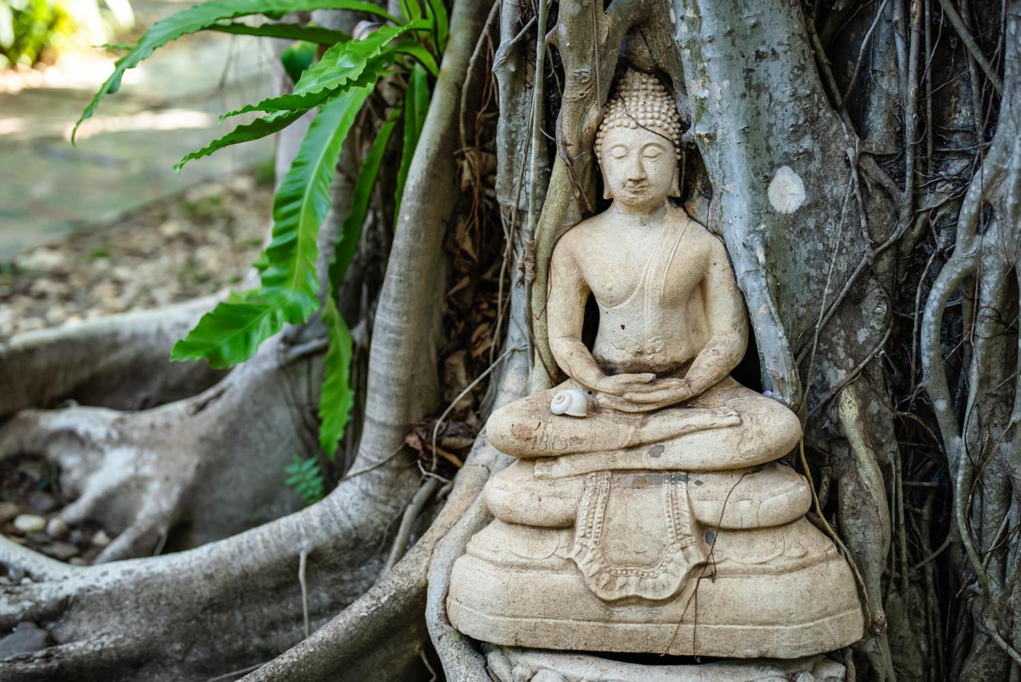 Samahita Retreat Hotel Laem Sor Ngoại thất bức ảnh